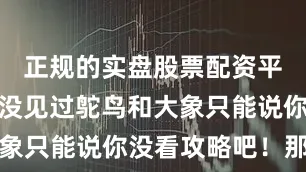 正规的实盘股票配资平台很多人没见过鸵鸟和大象只能说你没看攻略吧！那么