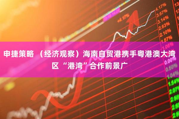 申捷策略 （经济观察）海南自贸港携手粤港澳大湾区 “港湾”合作前景广