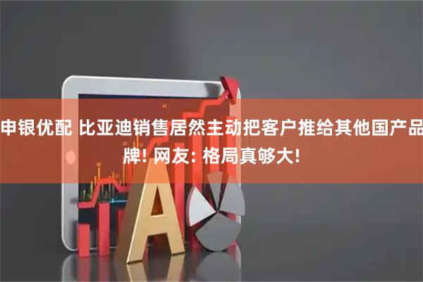申银优配 比亚迪销售居然主动把客户推给其他国产品牌! 网友: 格局真够大!