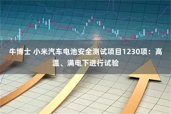 牛博士 小米汽车电池安全测试项目1230项：高温、满电下进行试验